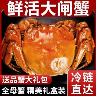 现货大闸蟹活蟹鲜活公母螃蟹海鲜生鲜水产中秋礼盒装 含绳蟹工具