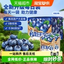 三只松鼠每日蓝莓干内含独立小包盒装 健康每日坚果干蜜饯果脯烘焙