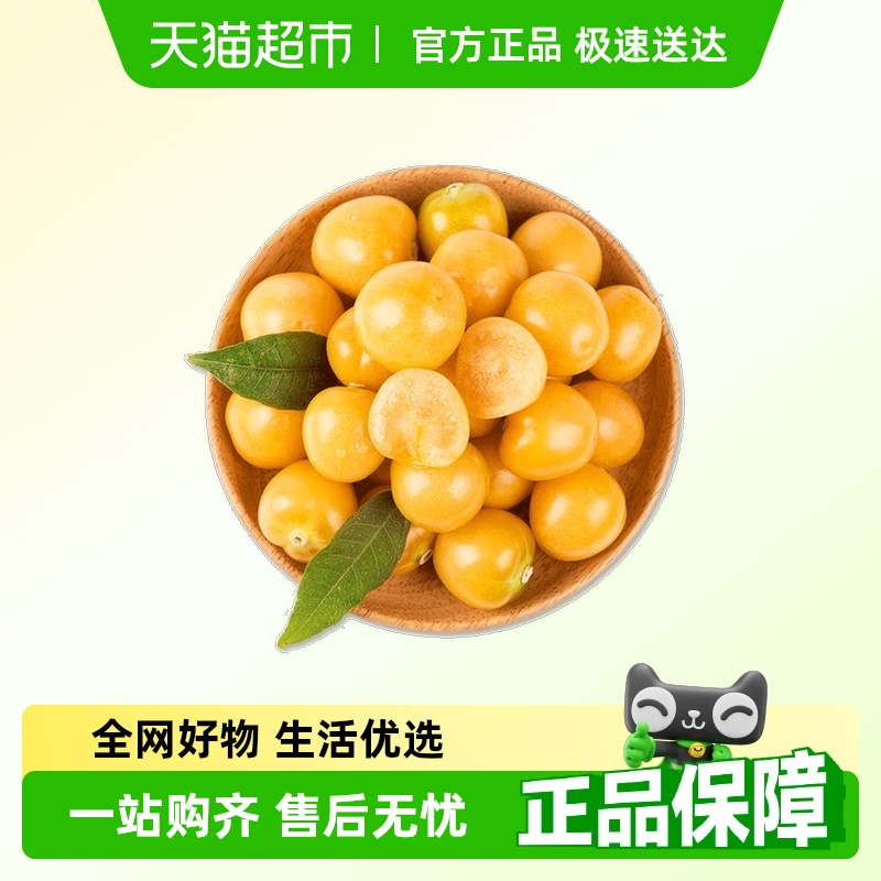 胡鲜森姑娘果新鲜当季现摘