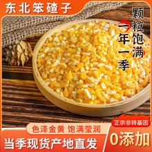 大粒笨大碴子东北新粮去皮大号玉米碴子苞米茬子煮大碴粥玉米糁