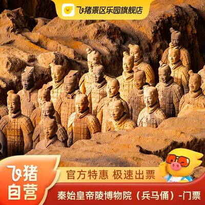 秦始皇兵马俑大门票
