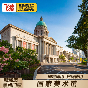 [新加坡国家美术馆-门票（不限指定日期）]常设展览门票 可定当天