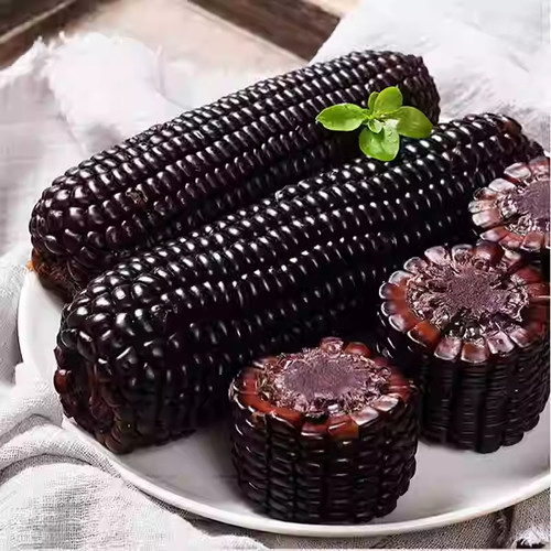 当季黄玉米黑糯玉米大棒真空新鲜加热即食礼盒粘甜忻州黑玉米整箱