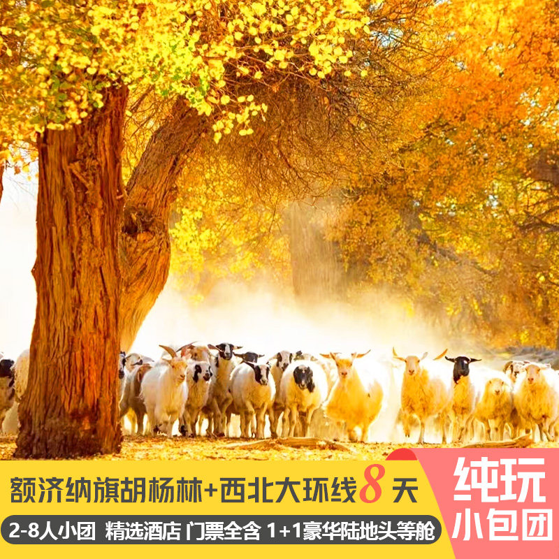 额济纳旗胡杨林2-8人小团8天7晚西北青海甘肃大环线旅游纯玩1+1车