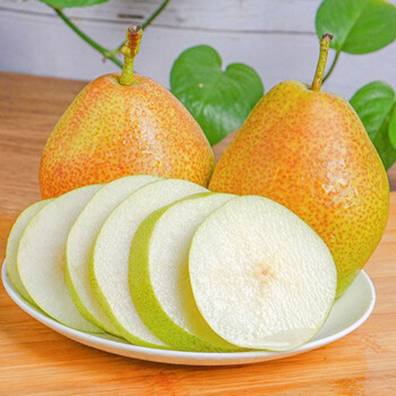 红香酥梨带箱2斤5斤清甜多汁肉厚核小,水产肉类/新鲜蔬果/熟食,梨,淘宝优惠券,粉丝福利购,淘宝优惠卷