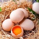 土鸡蛋8枚正宗散养农家笨鸡蛋柴鸡蛋月子新鲜百亿补贴