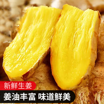 正宗云南小黄姜新鲜老姜五斤月子姜南姜农家现挖干姜生姜批发包邮
