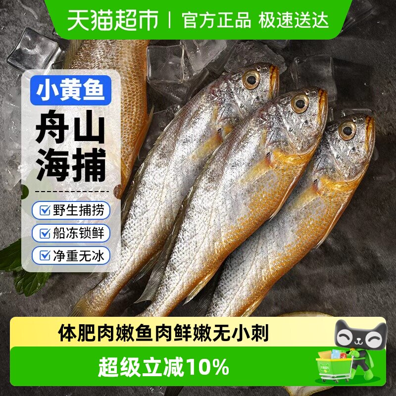 赫敏舟山小黄鱼深海捕捞海鱼小黄花鱼生鲜海鲜水产新鲜冷冻烧烤