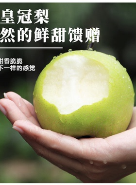 梨子新鲜水果青皇冠梨翠冠梨当季应季皇冠梨雪梨蜜早酥梨整箱精选