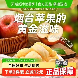 薛记炒货苹果干88g 袋办公室休闲小零食果脯蜜饯水果干