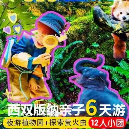 【寻找萤火虫】往返直飞&双11超值西双版纳6天5晚云南亲子跟团