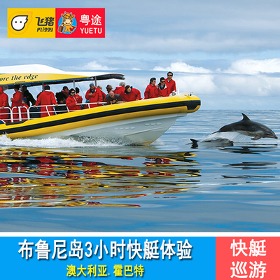 布鲁尼岛3小时游船出海体验 澳洲塔斯马尼亚布鲁尼岛快艇观海豹