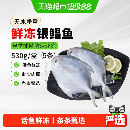 鱻谣活冻银鲳鱼新鲜海鱼