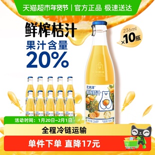 北冰洋鲜榨桔汁玻璃瓶装果汁气泡水饮料气足沙口236ml*10瓶汽水