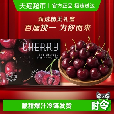 果园密码智利新鲜当季红宝石樱桃