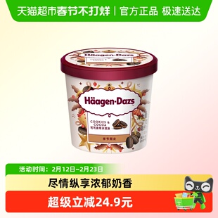 哈根达斯小杯冰激凌可可曲奇味