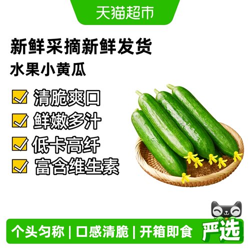 小黄瓜嫩青瓜新鲜现摘水果