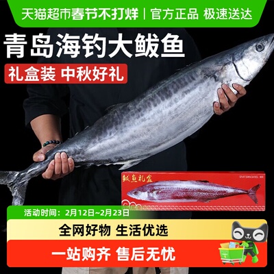 云储生活青岛大鲅鱼整条礼盒装