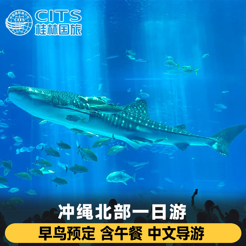 日本旅游冲绳北部一日游美丽海水族馆万座毛美国村知念岬