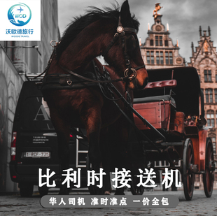 比利时接送机布鲁塞尔机场安特卫普接送机布鲁日接机送机华人司机