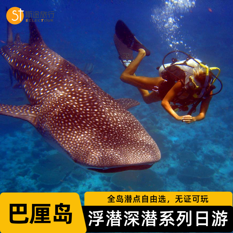 【潜水系列】巴厘岛潜水浮潜深潜海底漫步图兰奔含接送一日游