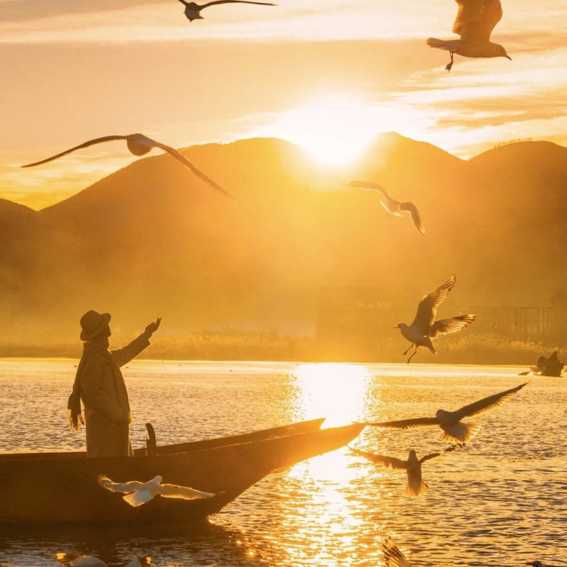 纯玩2-15人小团云南旅游丽江香格里拉纯玩4日游飞猪旅行避暑出游,度假线路/签证送关/旅游服务,境内跟团游,淘宝优惠券,粉丝福利购,淘宝优惠卷