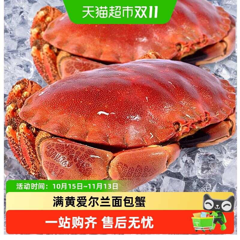 面包蟹超大母帝王蟹鲜活熟冻大螃蟹新鲜海蟹海鲜水产黄金蟹珍宝蟹