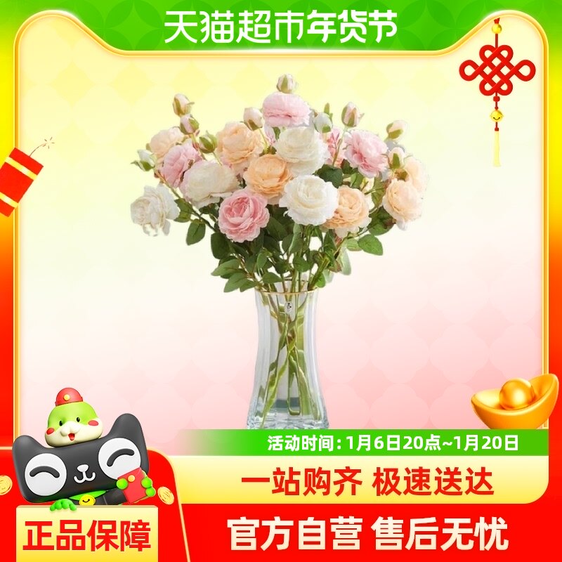 ĵ�����滨�ٻ�����ҾӲ廨���������װ�λ��հڼ��ɻ�����