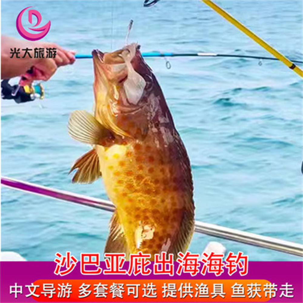 沙巴亚庇海钓快艇出海