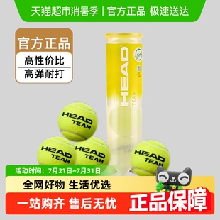 HEAD海德网球TEAM训练用球日常比赛高回弹耐打训练专用球官方正品