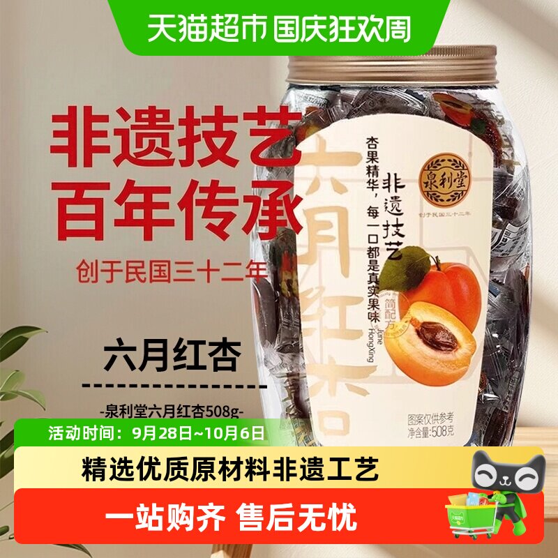 泉利堂六月红杏零食果肉脯干蜜饯休闲小吃网红无核特产解馋