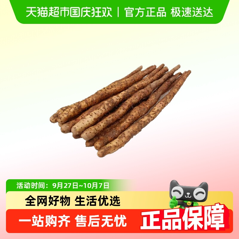 河南省焦作温县新鲜垆土铁棍山药怀山药正宗淮山铁杆山药