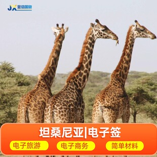 坦桑尼亚·旅游签证·北京送签·坦桑尼亚签证代办理 个人旅游商务电子签证 基本材料收全国多多马达累斯萨拉姆阿鲁沙姆万扎桑给巴尔非洲国家