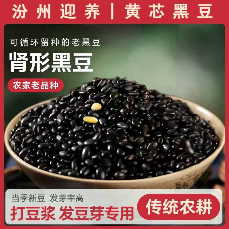 黄芯肾形黑豆山西农家种植老品种原生态放心吃饱满高蛋白非转基因