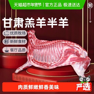 祁连天宝甘肃羔羊半只羊散养羔羊原切羊排羊腿羊蝎子羊肉火锅食材