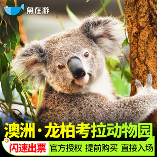 [龙柏考拉动物园-大门票]澳洲澳大利亚旅游布里斯班无尾熊动物园闪速出票无需换票