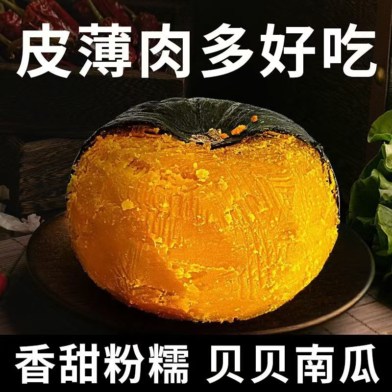 热销贝贝南瓜板栗瓜粉糯香甜宝宝婴儿辅食小老瓜