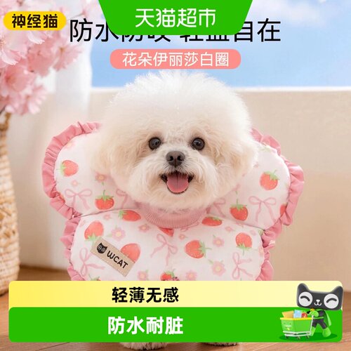 神经猫宠物伊丽莎白圈一擦即净