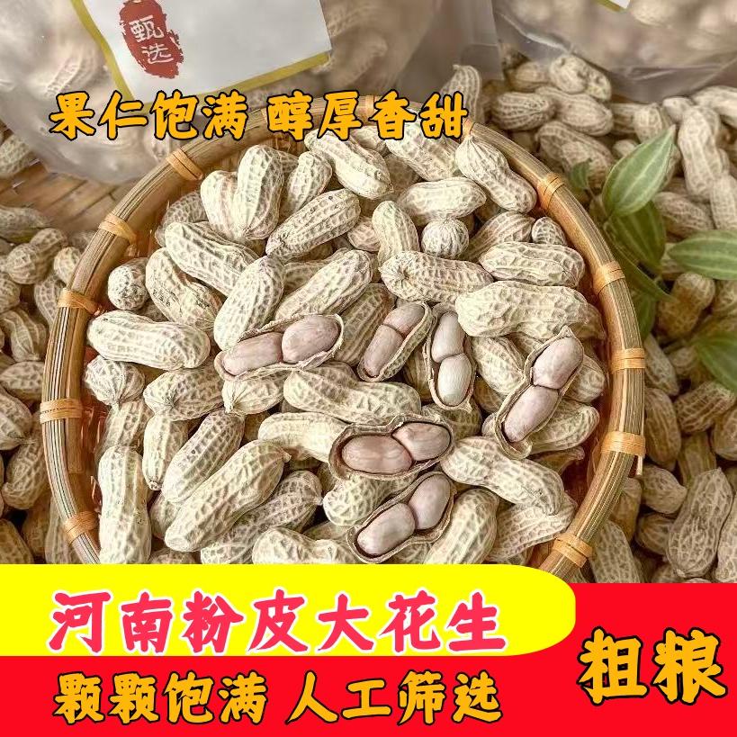 带壳花生粉河南新鲜粉皮花生现摘精选大粒新粉皮花生河南颗颗饱满