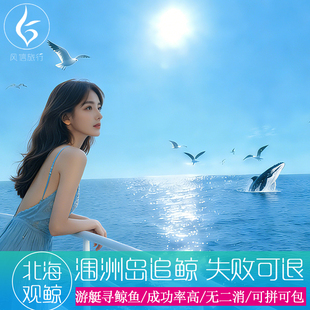 北海涠洲岛观鲸【看不到可全退】游艇出海 追鲸寻鲸上 接送一日游