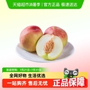 桃子 山西毛桃3斤新鲜水果脆红桃蜜桃应季