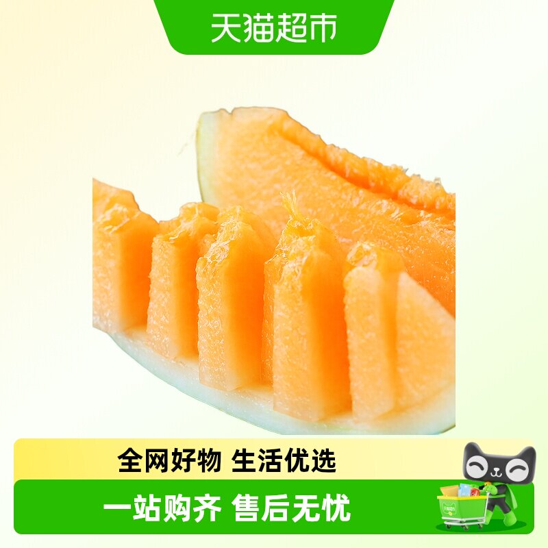 甘肃民勤蜜瓜沙漠蜜瓜新鲜水果