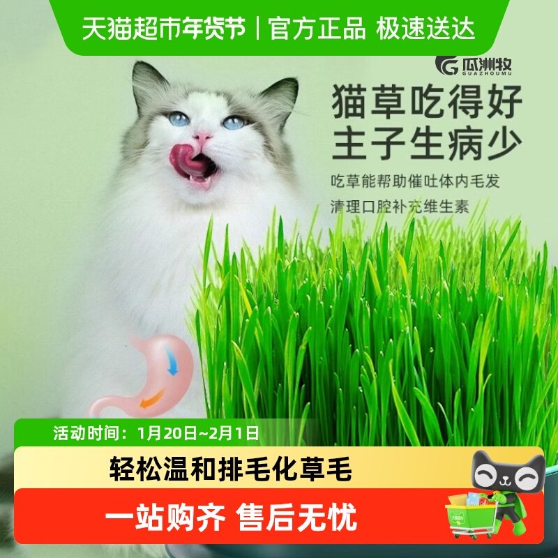 猫草盆栽种籽水培盒懒人种植有机猫草化毛球片小麦种子育苗盘零食,宠物/宠物食品及用品,猫草/猫草片,淘宝优惠券,粉丝福利购,淘宝优惠卷