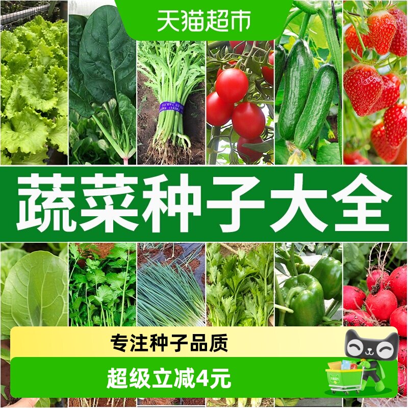 蔬菜种子大包四季播种原装鸡毛菜香菜生菜黄瓜阳台盆栽家庭种植