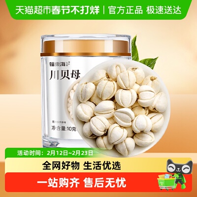 福东海川贝母可搭百合枇杷煲汤