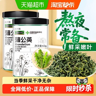 蒲公英茶正宗中草药材鲜采婆婆丁叶根茶特散养生茶干泡水非野生级