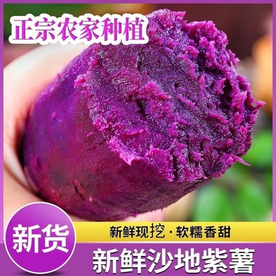 下拉领取补贴 河南紫薯新鲜地瓜紫罗兰蜜薯4.5斤