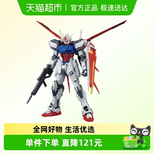 拼装 100 ver.翔翼突击 万代 空战型强袭高达RM 高达