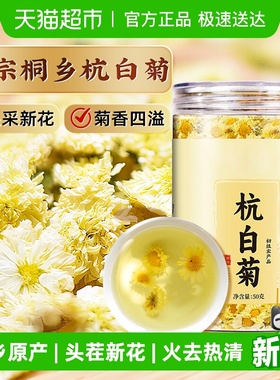 杭白菊级特浙江桐乡杭白菊胎菊贡菊花茶火去热清泡水喝