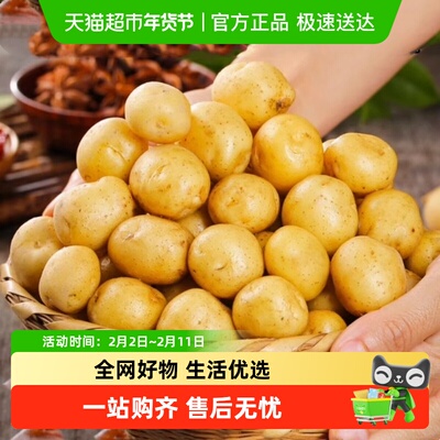 德沃多正宗恩施土豆现挖现发洋芋